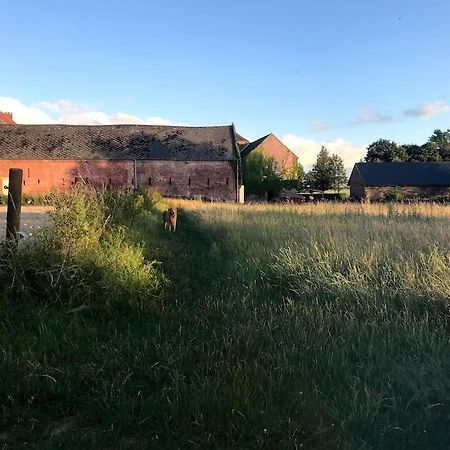 Le Cottage - Maison De 6 A 8 Personnes - La Ferme Du Try Frasnes-lez-Gosselies المظهر الخارجي الصورة