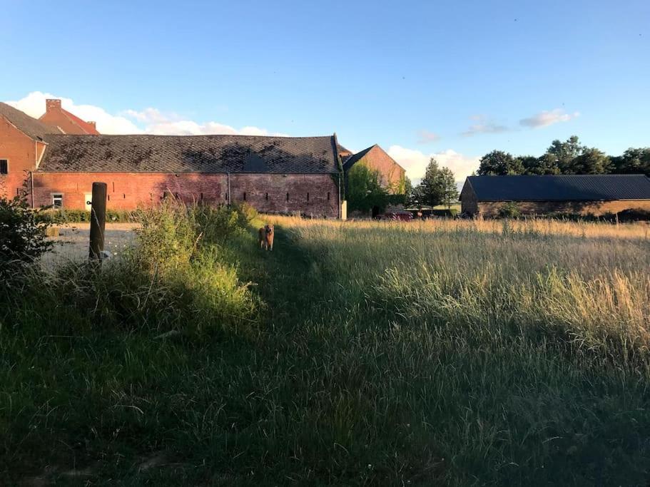 Le Cottage - Maison De 6 A 8 Personnes - La Ferme Du Try Frasnes-lez-Gosselies المظهر الخارجي الصورة